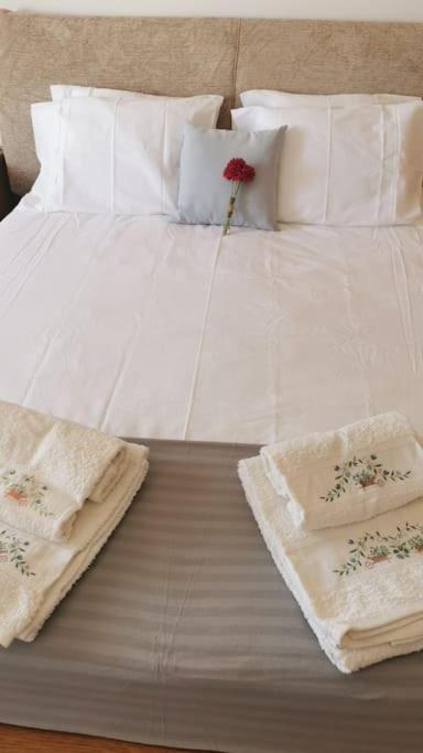 Amazing Lodge By The Ocean - Fully Equipped! Ericeira Eksteriør billede