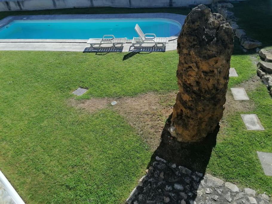 Amazing Lodge By The Ocean - Fully Equipped! Ericeira Eksteriør billede